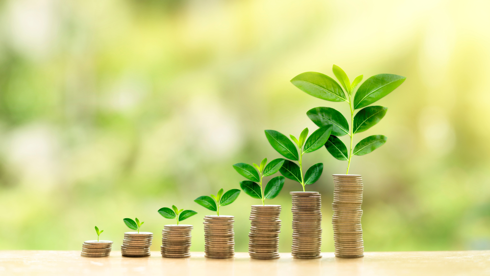 SMSF Investment Strategy Development
