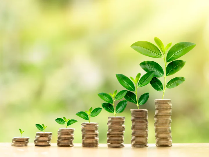 Investor services Brisbane unlocking high-value investment opportunities